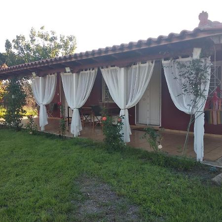 Olive Garden Guest House Kyparissia Eksteriør billede