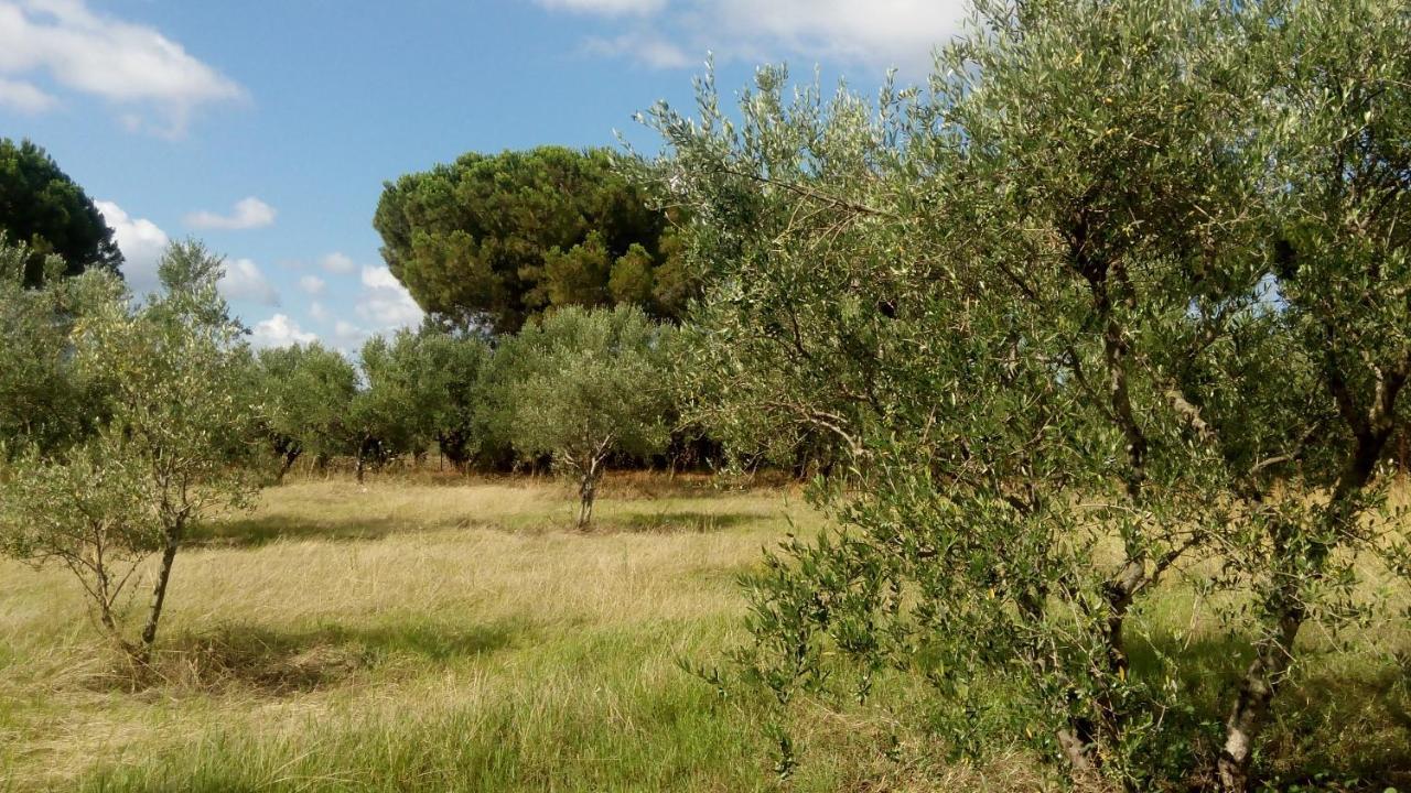 Olive Garden Guest House Kyparissia Eksteriør billede