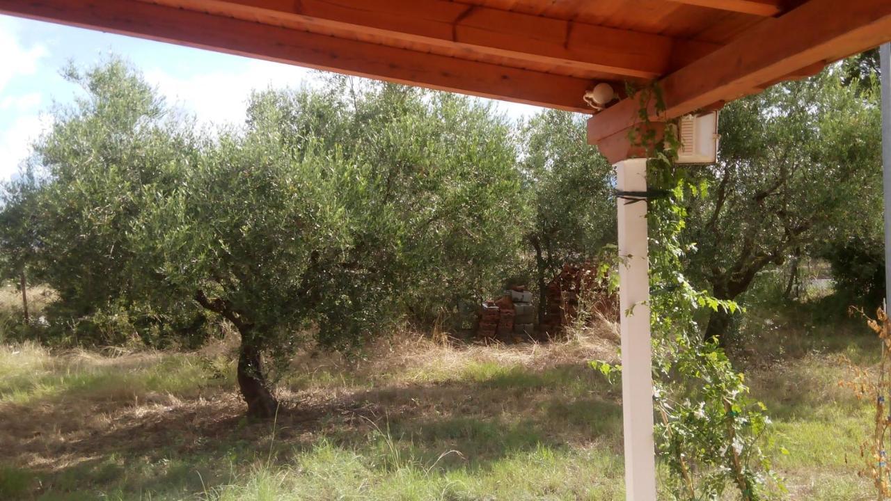 Olive Garden Guest House Kyparissia Eksteriør billede