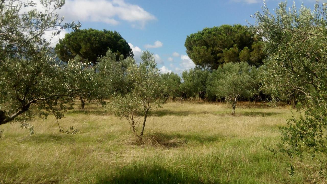 Olive Garden Guest House Kyparissia Eksteriør billede
