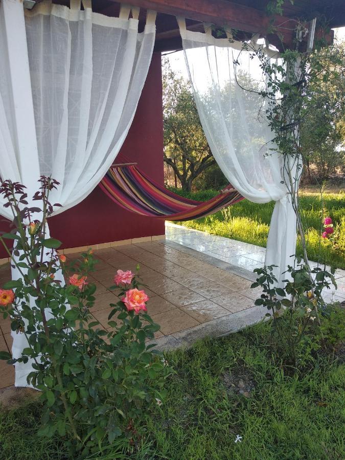 Olive Garden Guest House Kyparissia Eksteriør billede