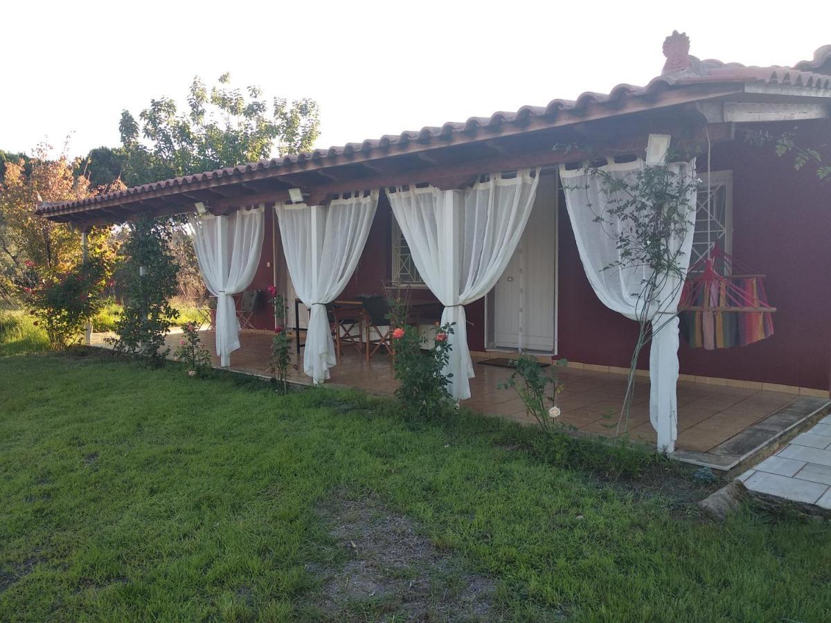 Olive Garden Guest House Kyparissia Eksteriør billede